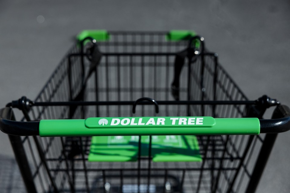 Dollar tree fans are rushing to the stores for the latest $1.25 beauty find