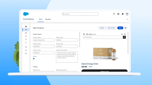 Salesforce Integrated Ecommerce Storefront Web Page